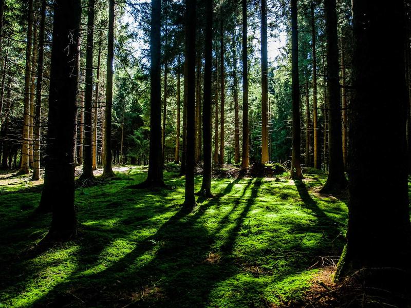 上海弄堂<br>lyv4augd.cn 亭子间鸽子笼